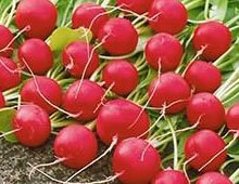 Біодобриво «AgroMax®»